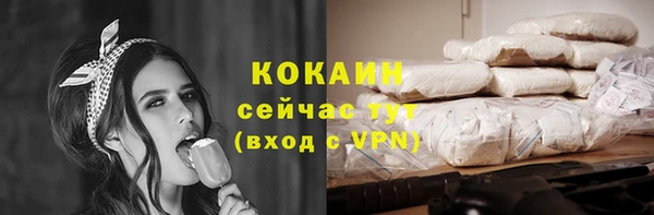 гашик Касимов