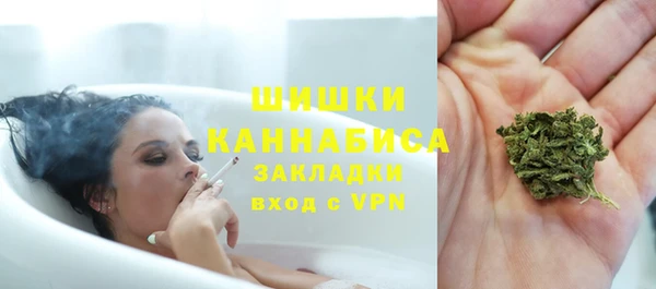 гашик Касимов