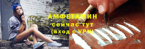 гашик Касимов