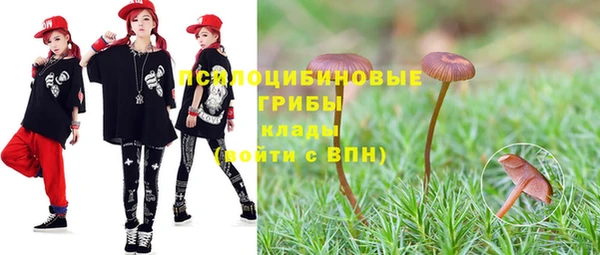 гашик Касимов