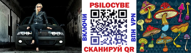 Купить закладки  Саянск  Псилоцибиновые грибы Psilocybe 